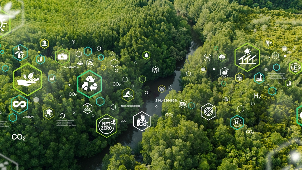 Yazılım Çözümleri