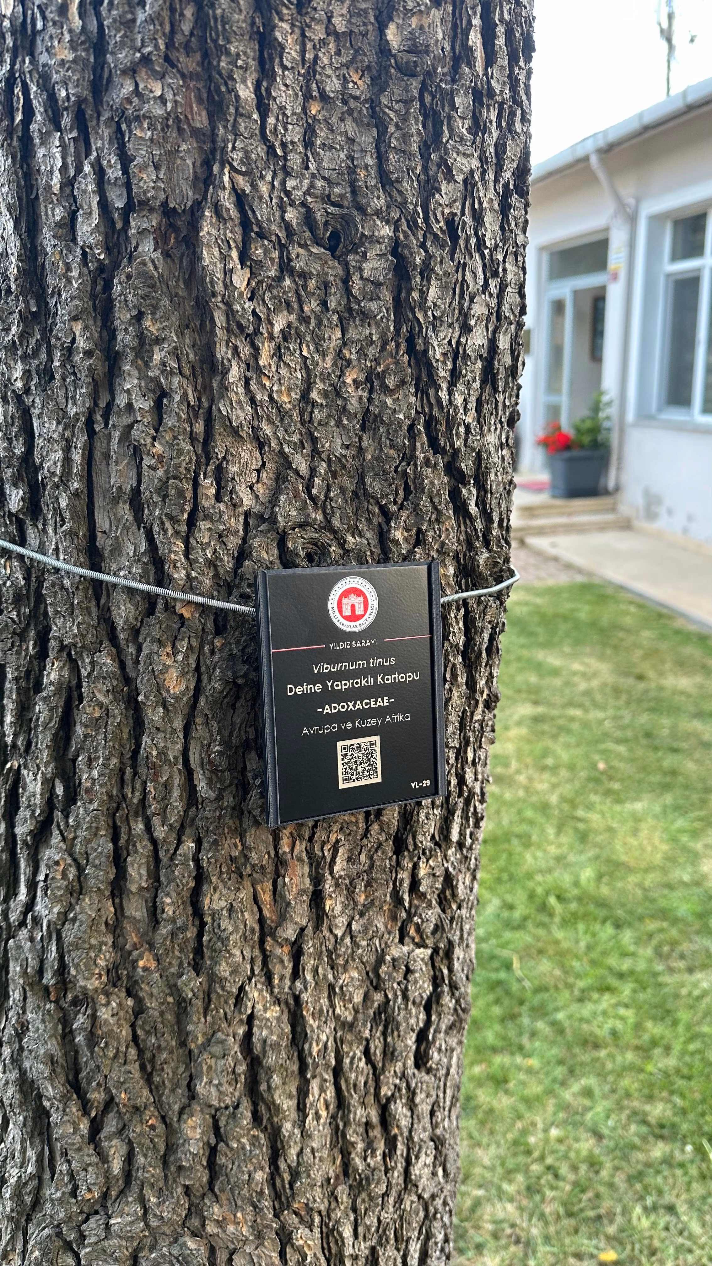 Ağaç Künyesi Montaj İşlemi